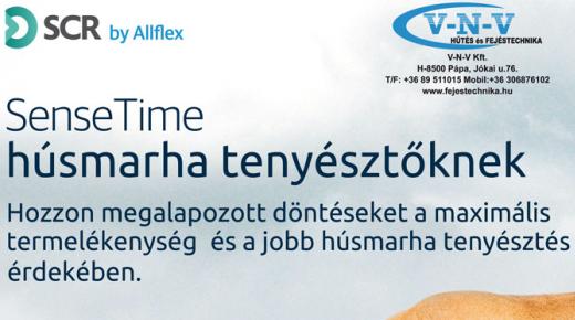 SenseTime