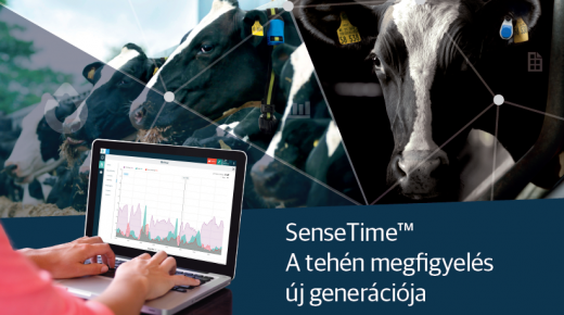 SenseTime